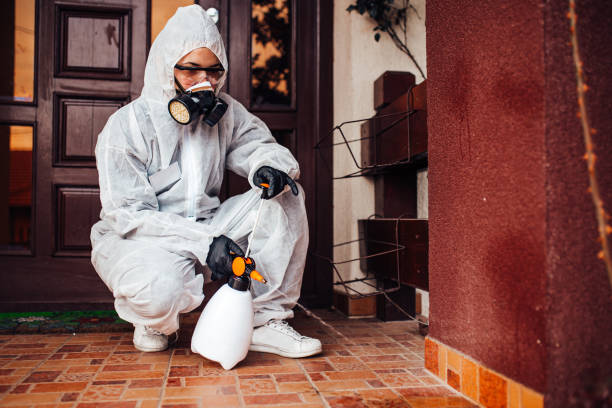 Reliable Wasp Removal contractor in Inkerman, PA by Show Me Pest Control